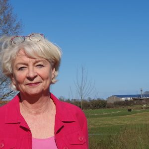 Friedrichs-Heinemann